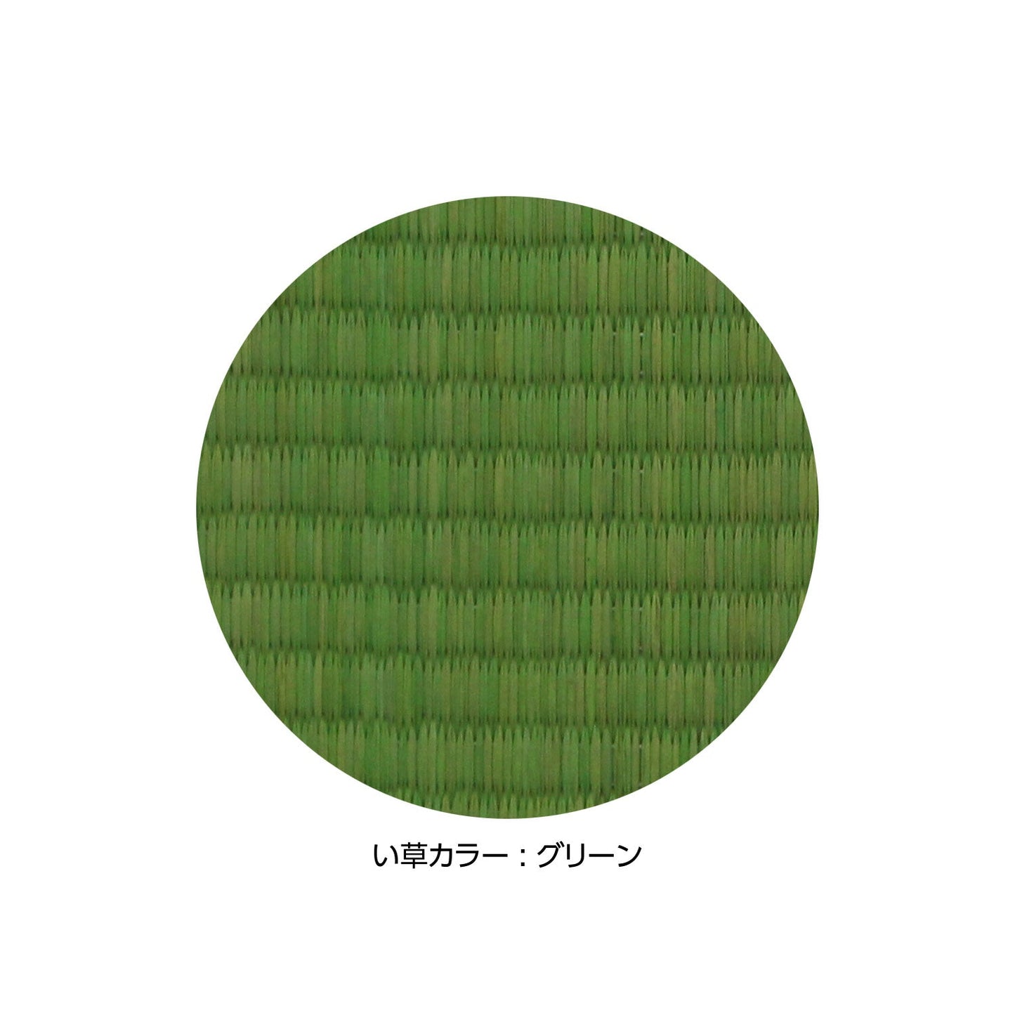 セミB5ノートカバー(色:グリーン 柄:ドットグリーン)